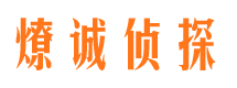 镇康市场调查